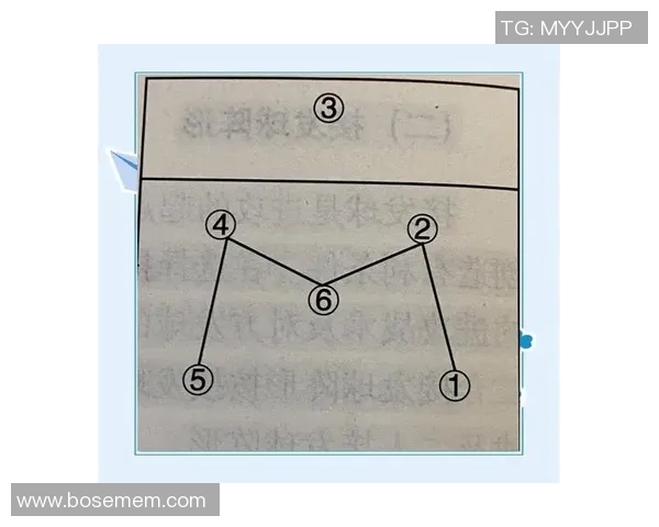 数据分析：杭州排球队的战术表现