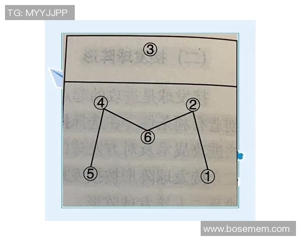 数据分析：武汉排球队的战术表现