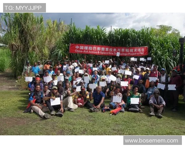 独家分析：南京极限运动队的技术对比